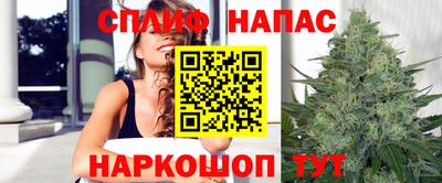 дурь Можга