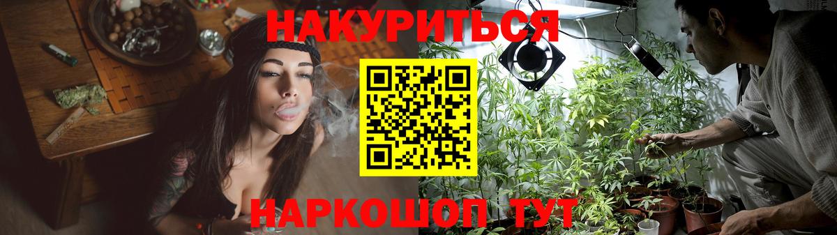 Химки  Каннабис конопля  Вход с VPN  Каннабис OG Kush  Марихуана марихуана 