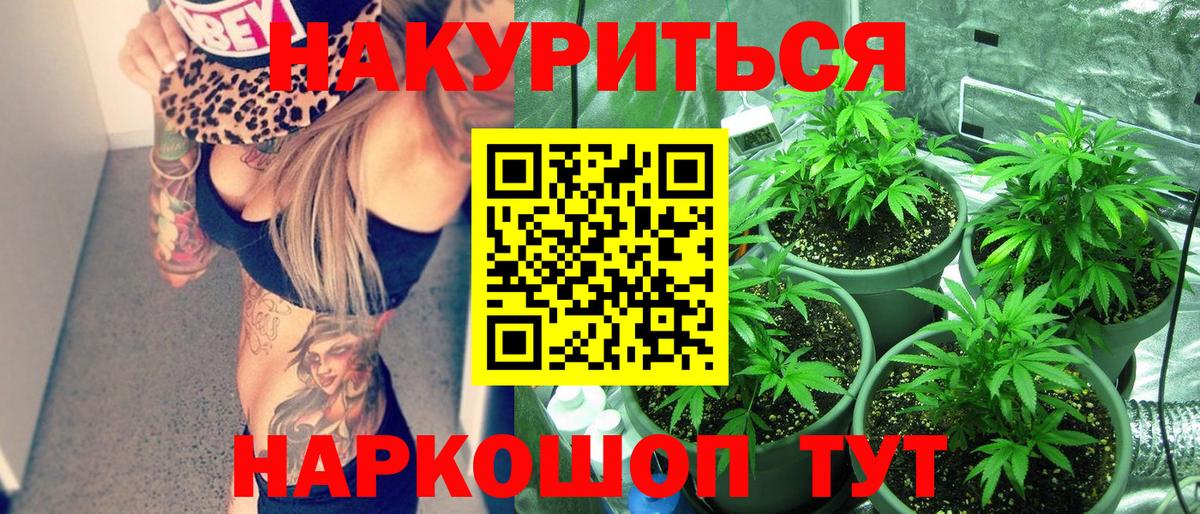 Каннабис MAZAR Химки